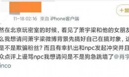 肖宇梁娱乐爆料,娱乐圈幕后真相大揭秘